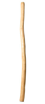 Natural Finish Didgeridoo (TW1441)